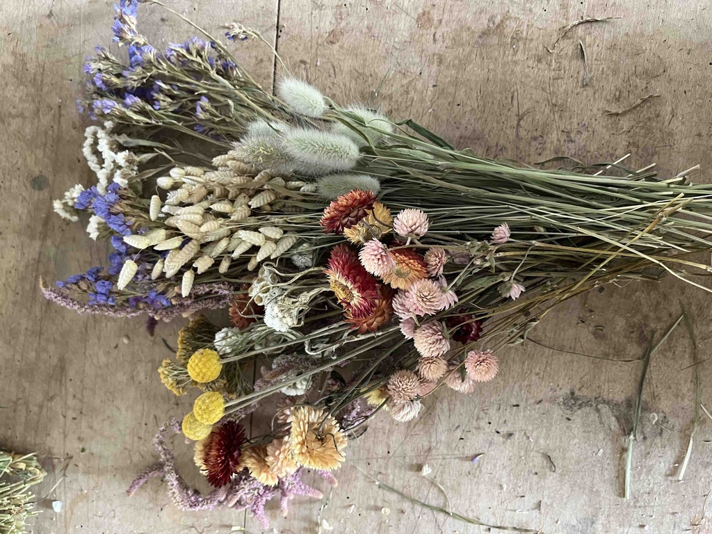 [TrMixKl] Trockenblumen - Bunter Mix